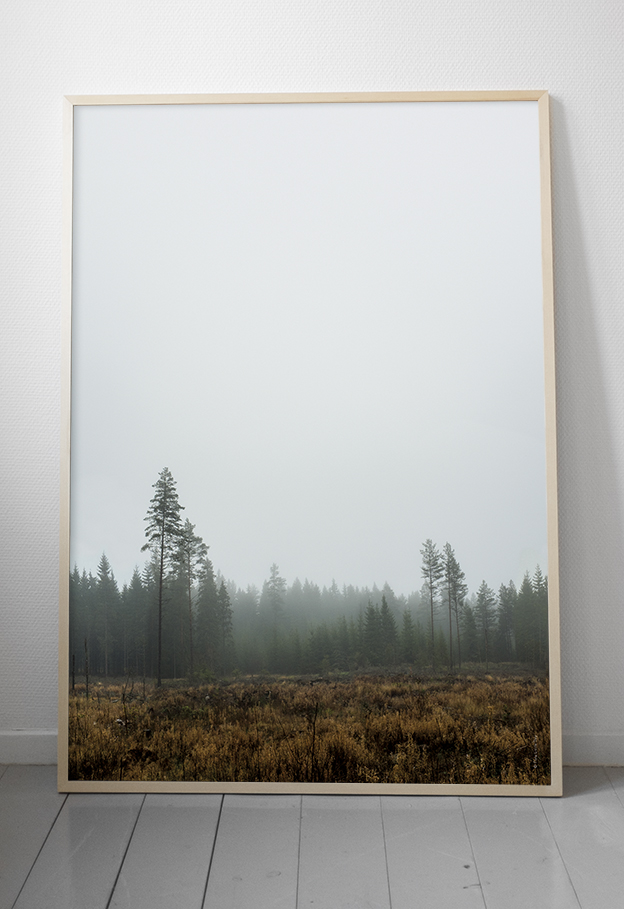 24836707-origpic-3533a3