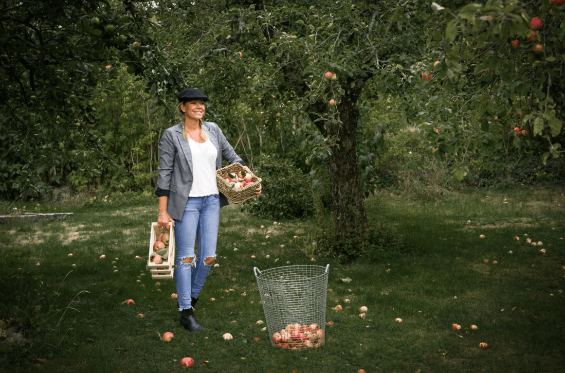 Skärmavbild 2019-09-01 kl. 10.36.58