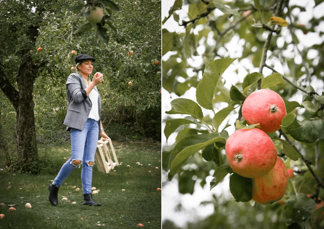 Skärmavbild 2019-09-01 kl. 10.37.34