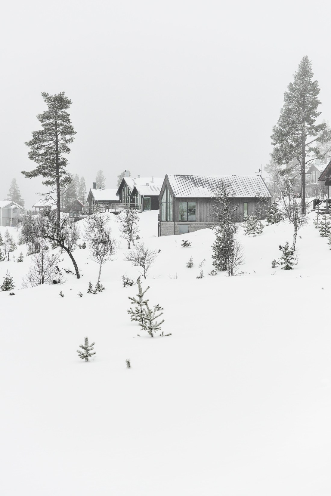 Lofsdalen-2