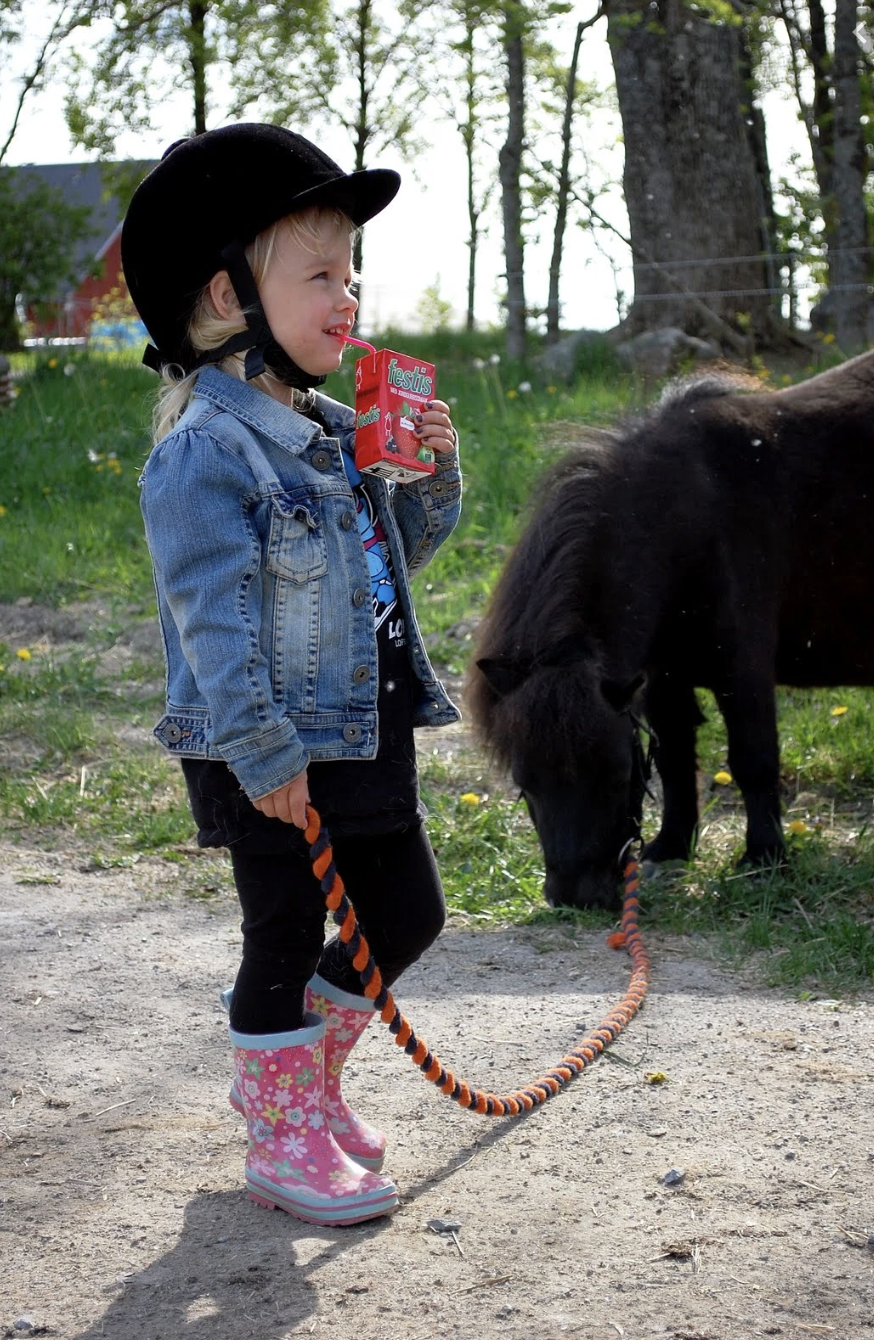 Skärmavbild 2020-03-14 kl. 17.19.31