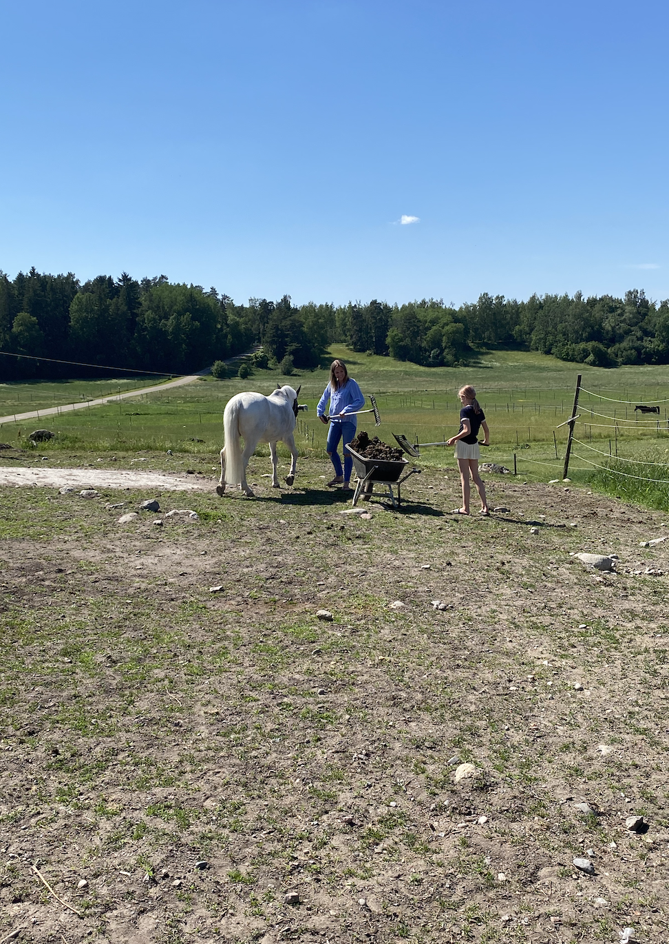 Skärmavbild 2020-06-23 kl. 14.33.43
