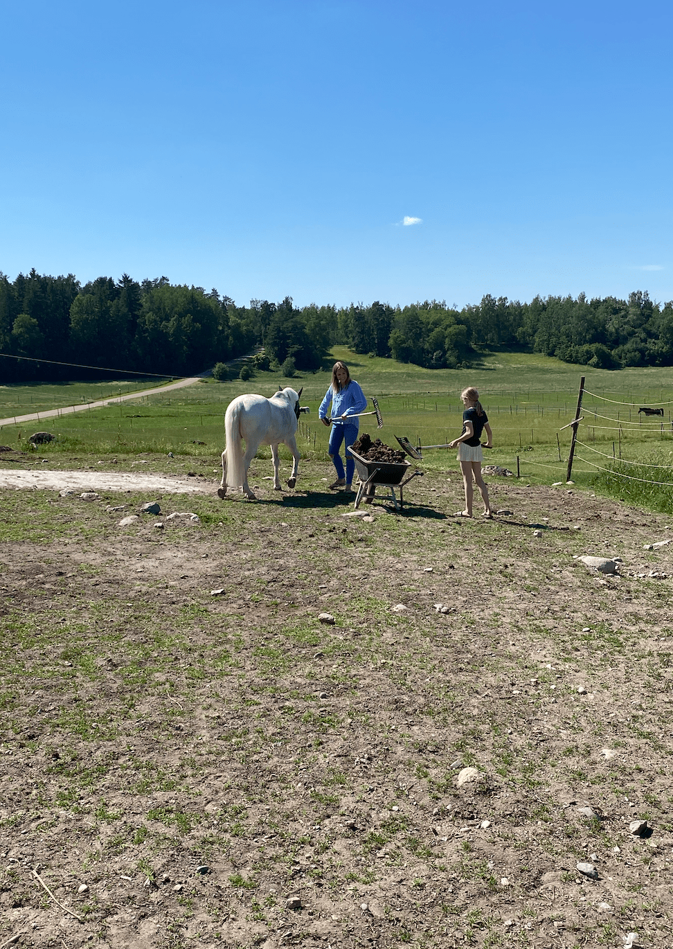 Skärmavbild 2020-06-23 kl. 14.33.43