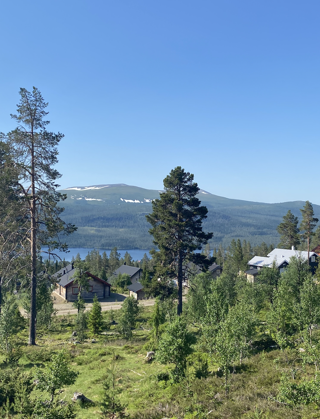 Skärmavbild 2020-06-25 kl. 09.23.46