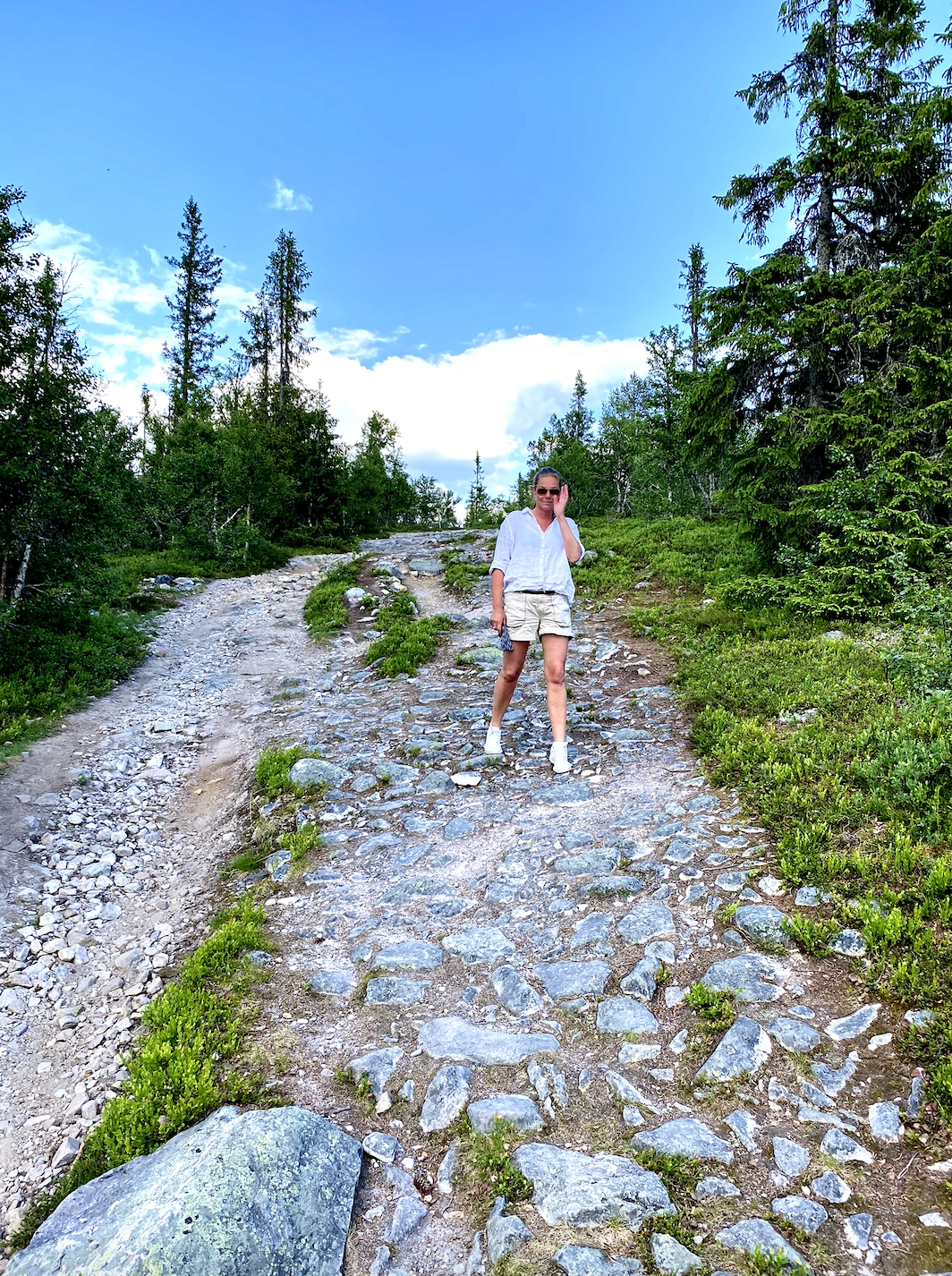 Skärmavbild 2020-06-28 kl. 07.55.35