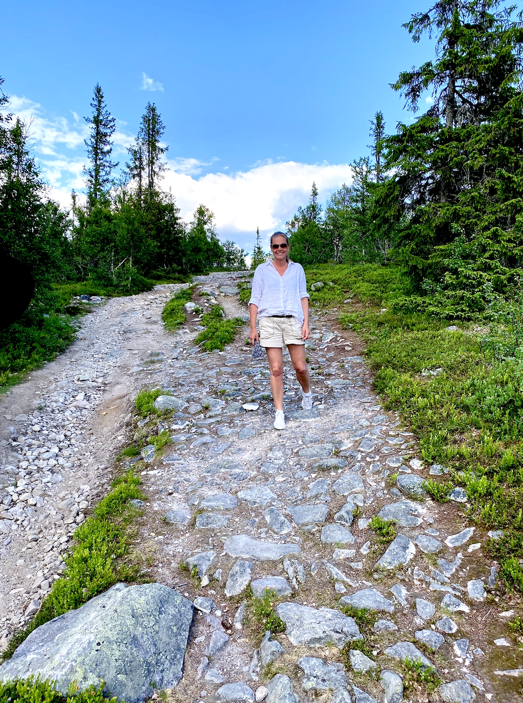 Skärmavbild 2020-06-28 kl. 08.02.46