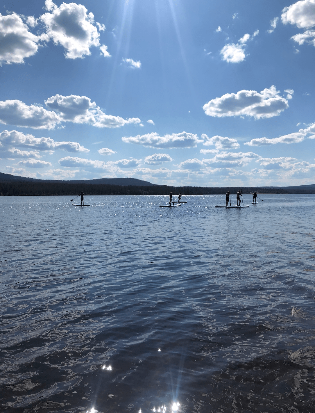 Skärmavbild 2020-06-30 kl. 08.35.29