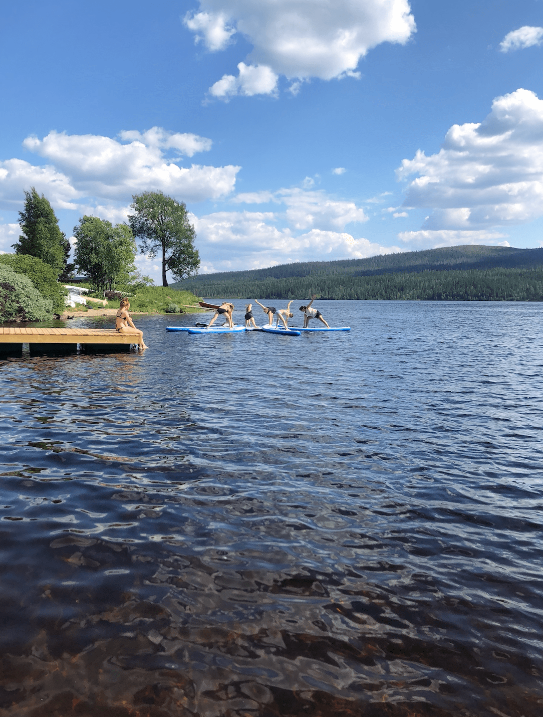 Skärmavbild 2020-06-30 kl. 08.35.56