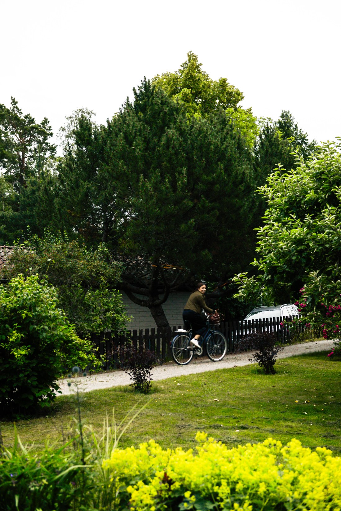 Tildas fördelsedag-8